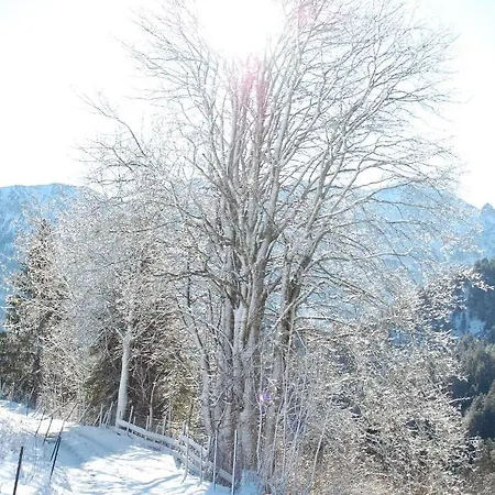 Ferienhaus Alpenglück Gaicht