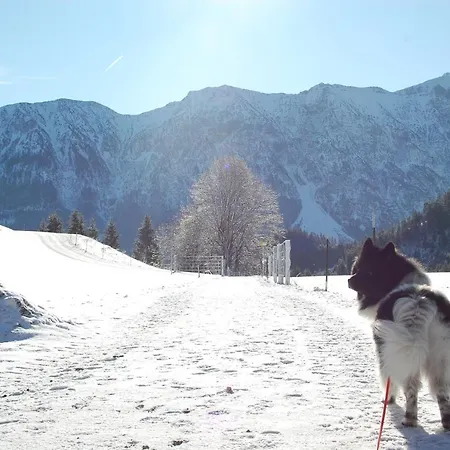 Prázdninový dům Alpenglueck