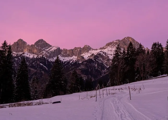 別荘 Alpenglueck Gaicht